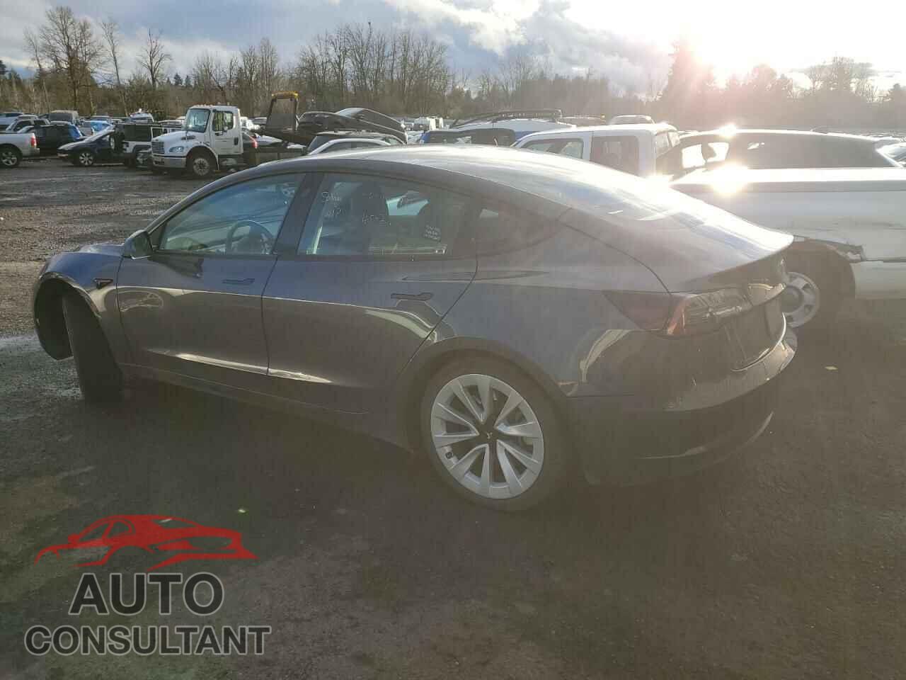 TESLA MODEL 3 2022 - 5YJ3E1EA7NF371235