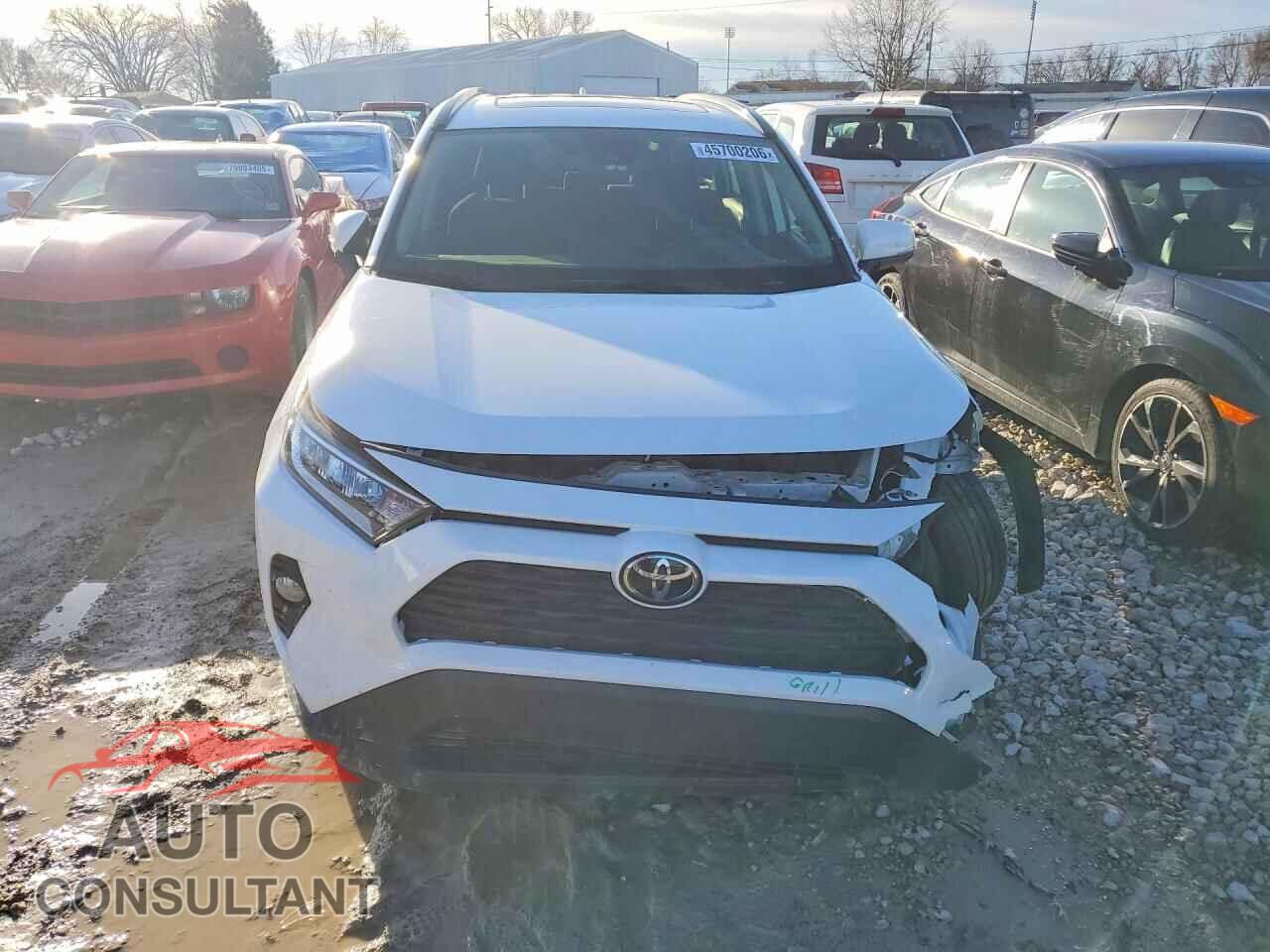 TOYOTA RAV4 2019 - JTMP1RFV3KD024890