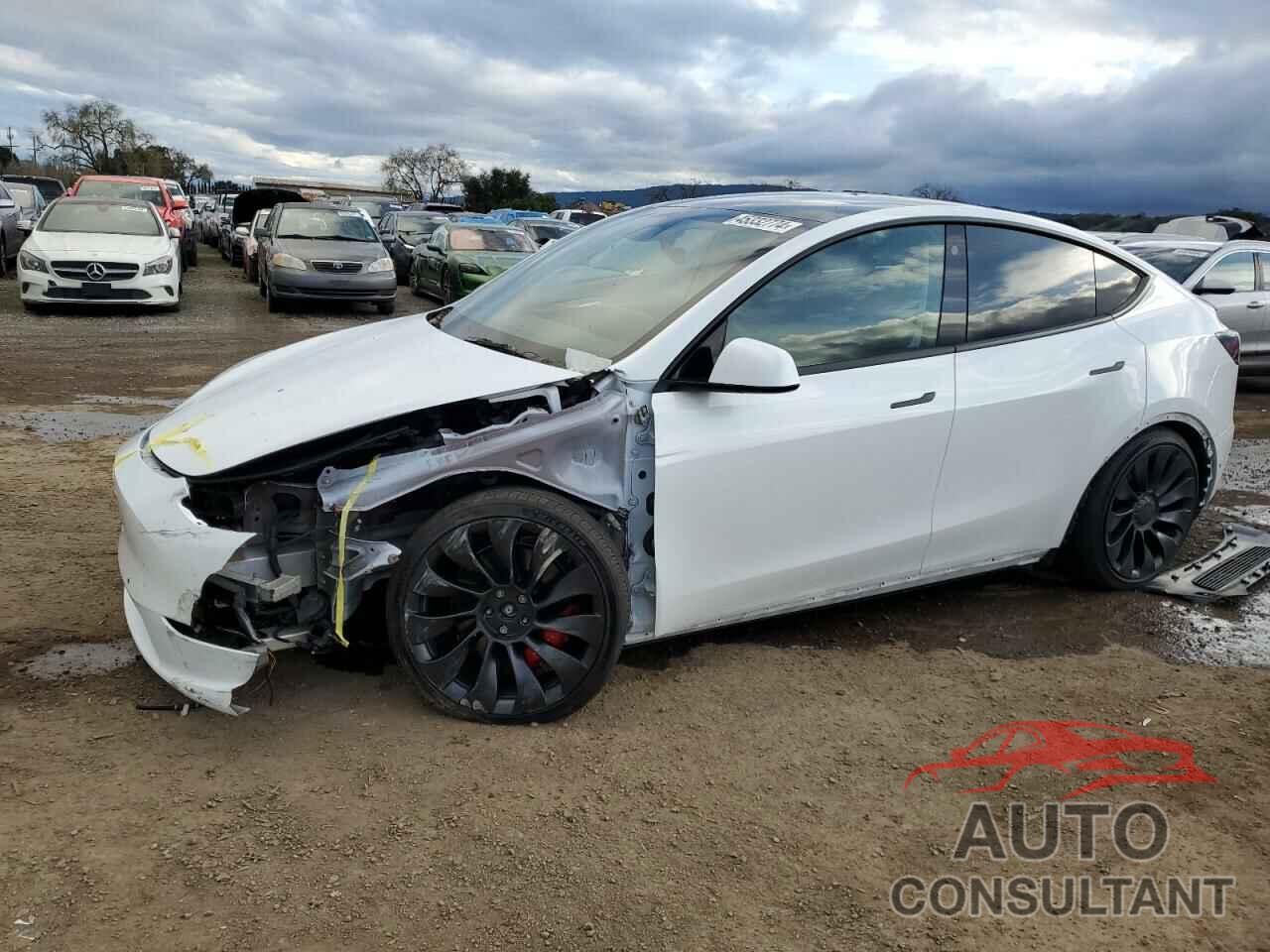 TESLA MODEL Y 2022 - 7SAYGDEFXNF486041