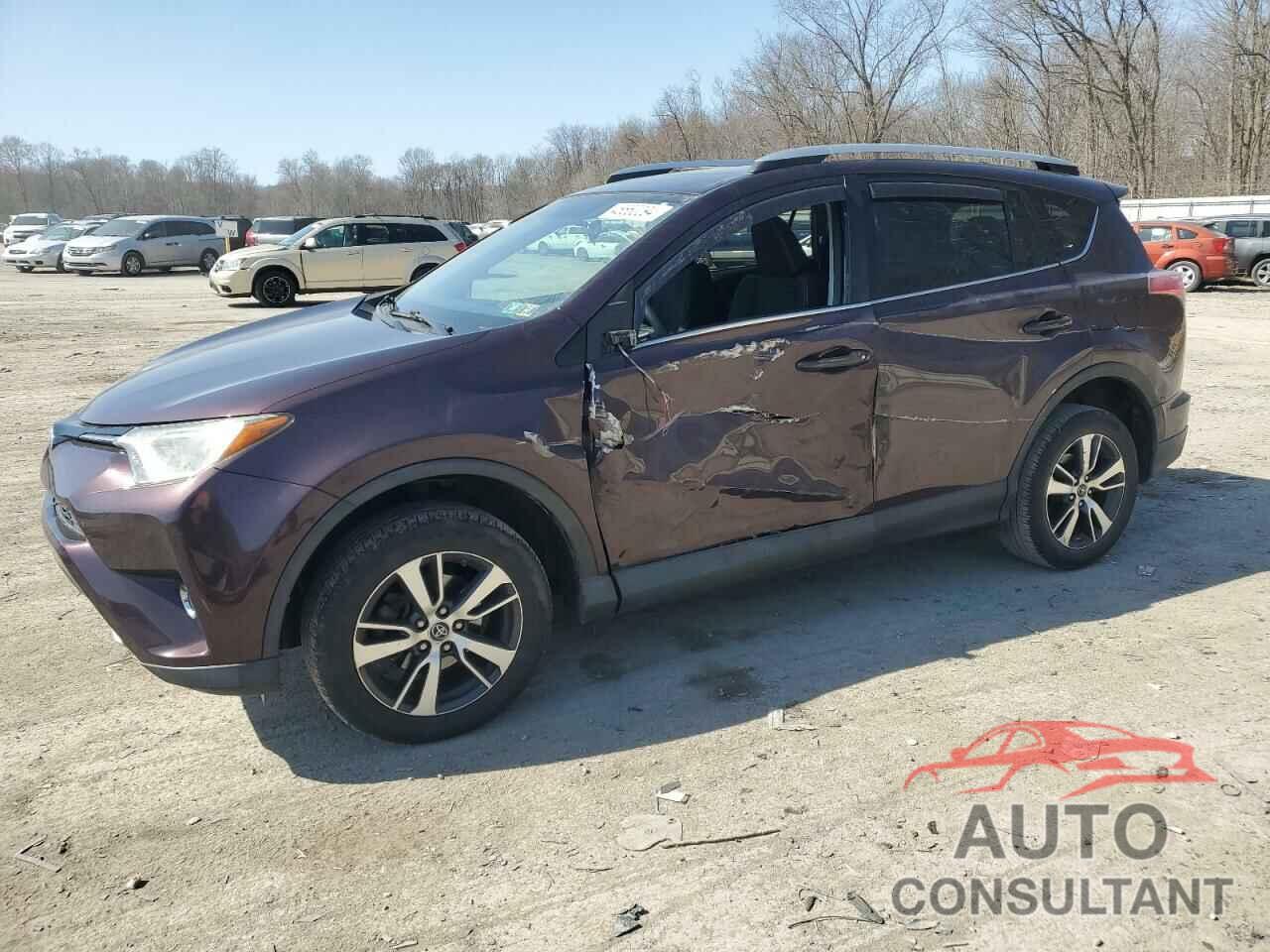 TOYOTA RAV4 2016 - 2T3RFREV4GW535868