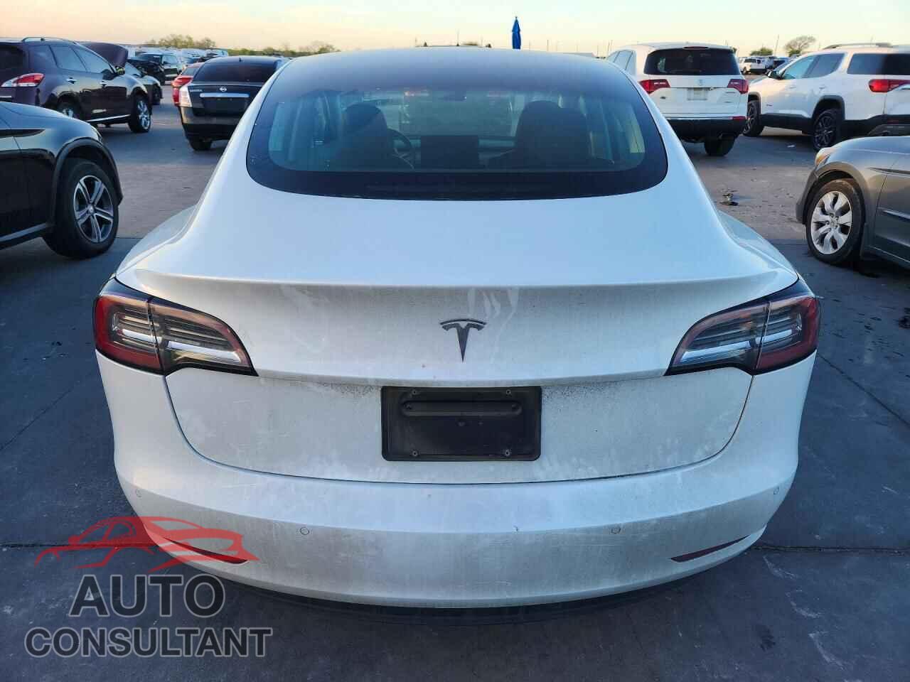 TESLA MODEL 3 2019 - 5YJ3E1EA4KF300067