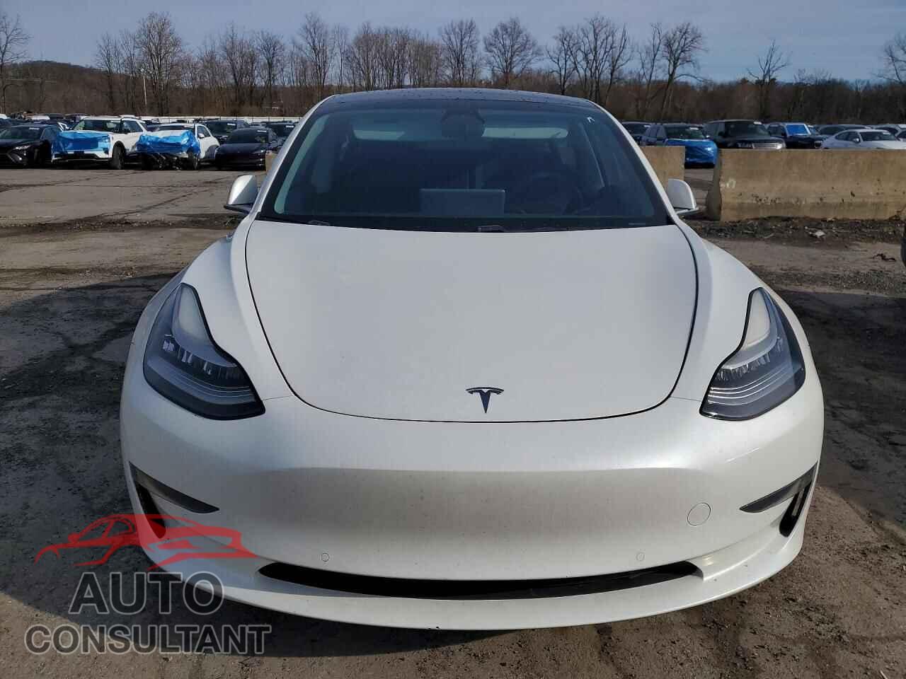 TESLA MODEL 3 2019 - 5YJ3E1EA8KF483960
