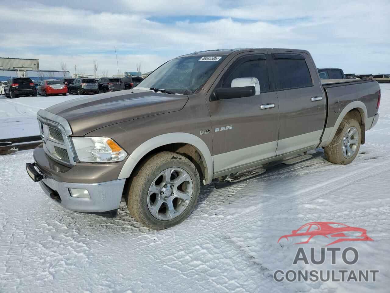DODGE All Models 2010 - 1D7RV1CT4AS180910