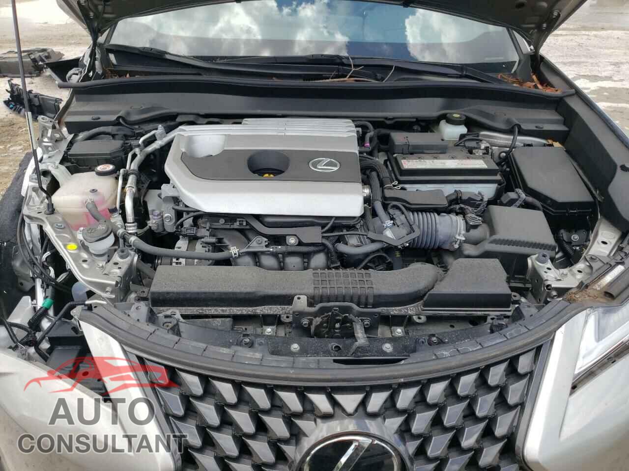 LEXUS UX 200 2019 - JTHY3JBH4K2007705