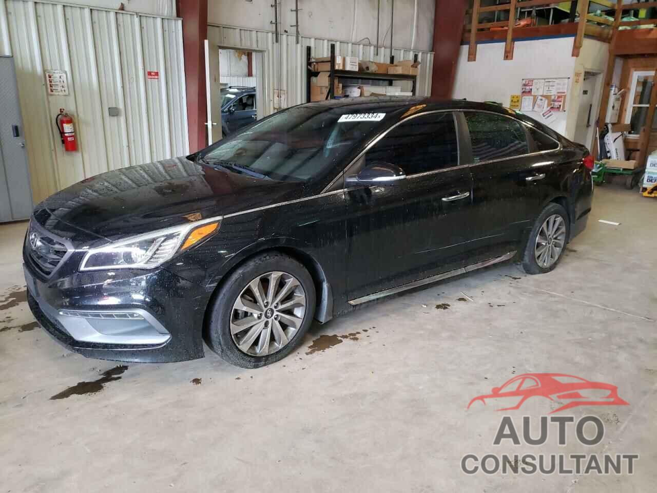 HYUNDAI SONATA 2016 - 5NPE34AF0GH297193