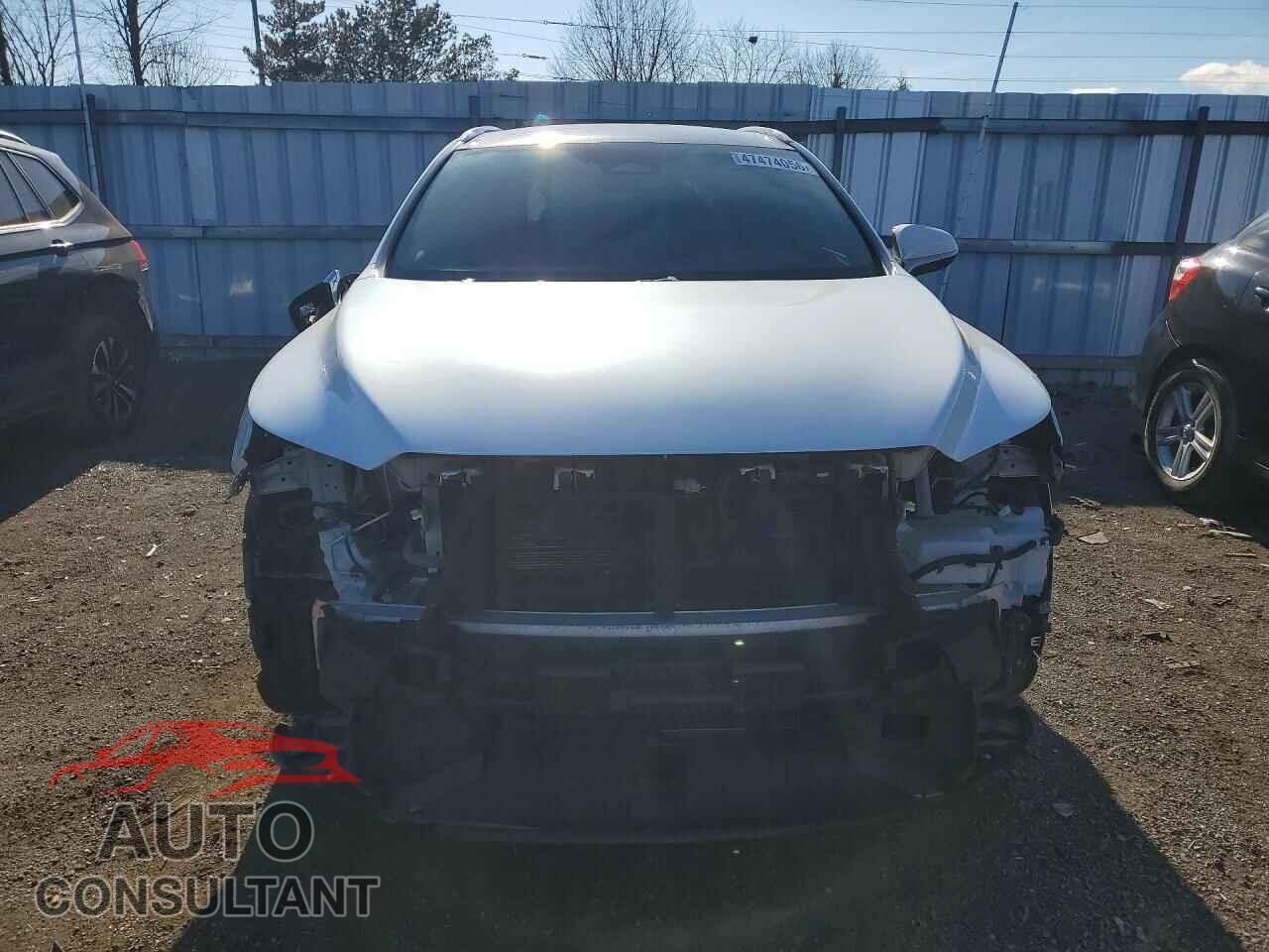 LEXUS UNKNOWN 2023 - 2T2BBMCAXPC016930