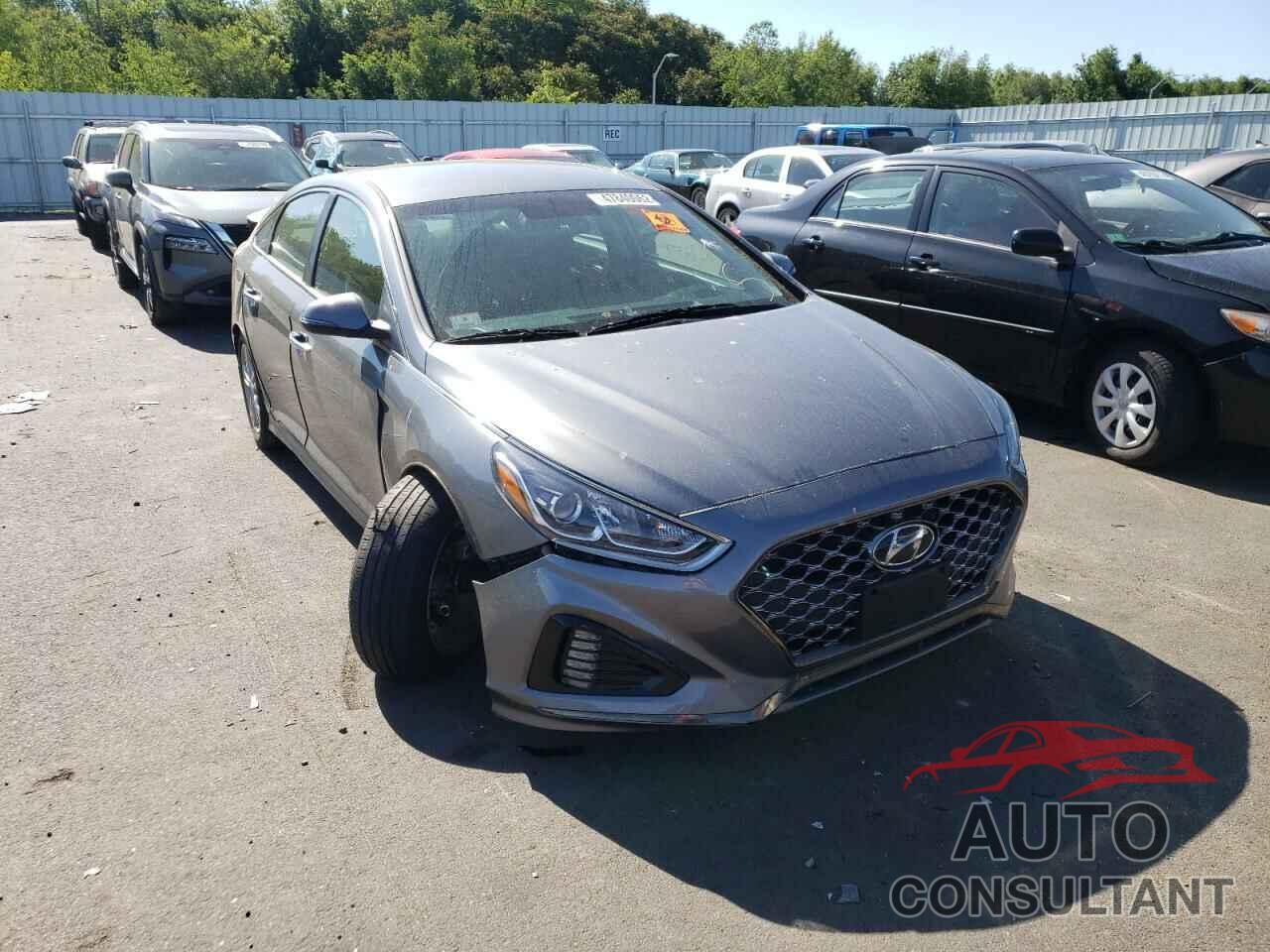HYUNDAI SONATA 2019 - 5NPE34AF0KH778554