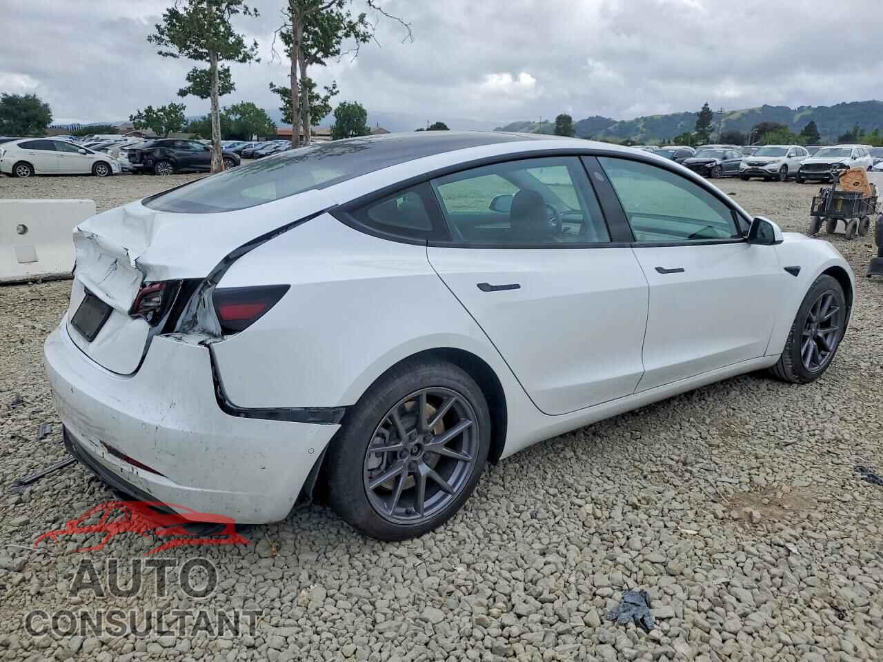 TESLA MODEL 3 2021 - 5YJ3E1EA2MF079345
