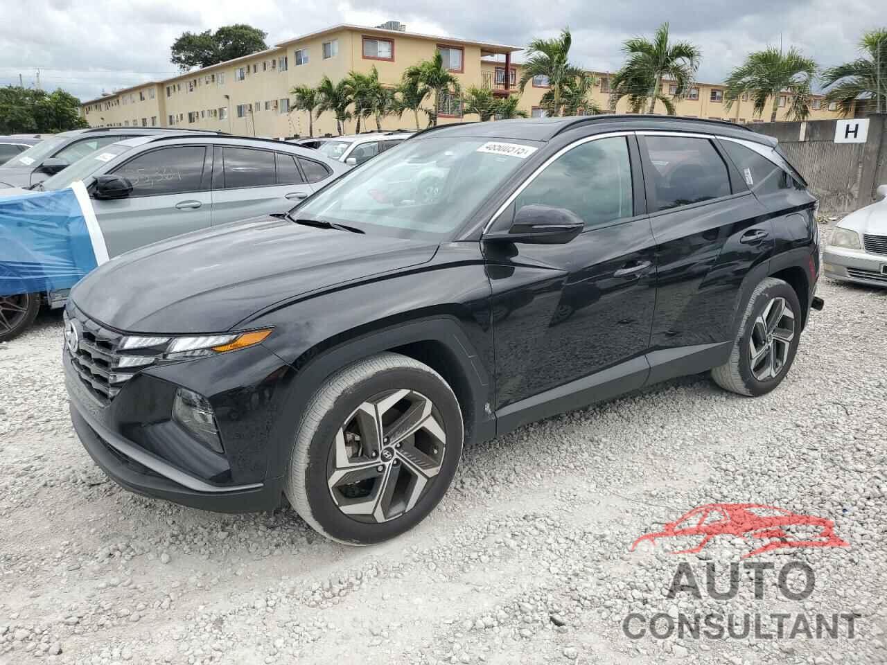 HYUNDAI TUCSON 2024 - 5NMJF3DE1RH407591