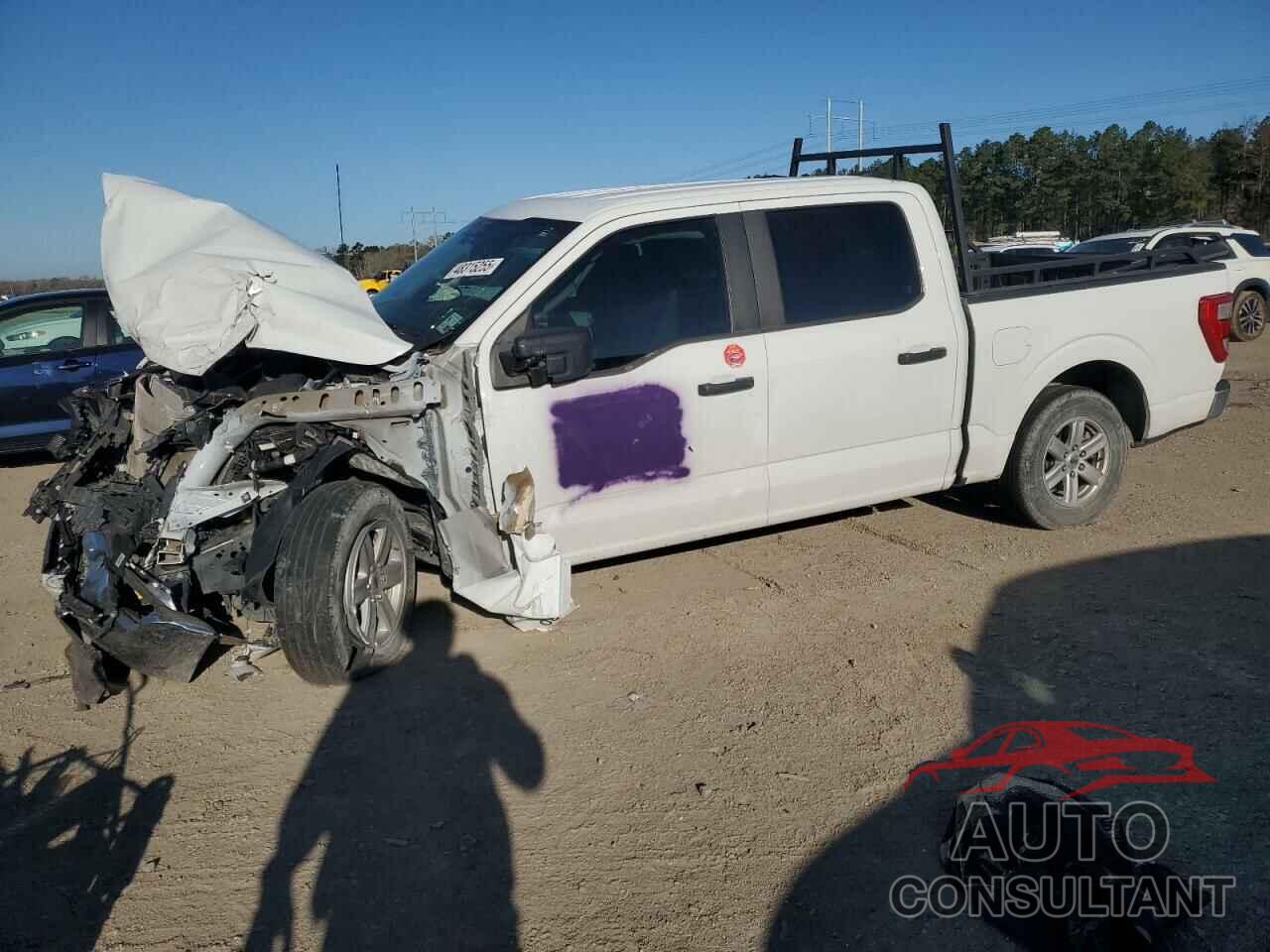 FORD F-150 2023 - 1FTEW1C53PFB09965