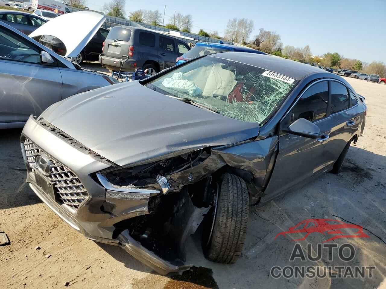 HYUNDAI SONATA 2019 - 5NPE34AF9KH772445