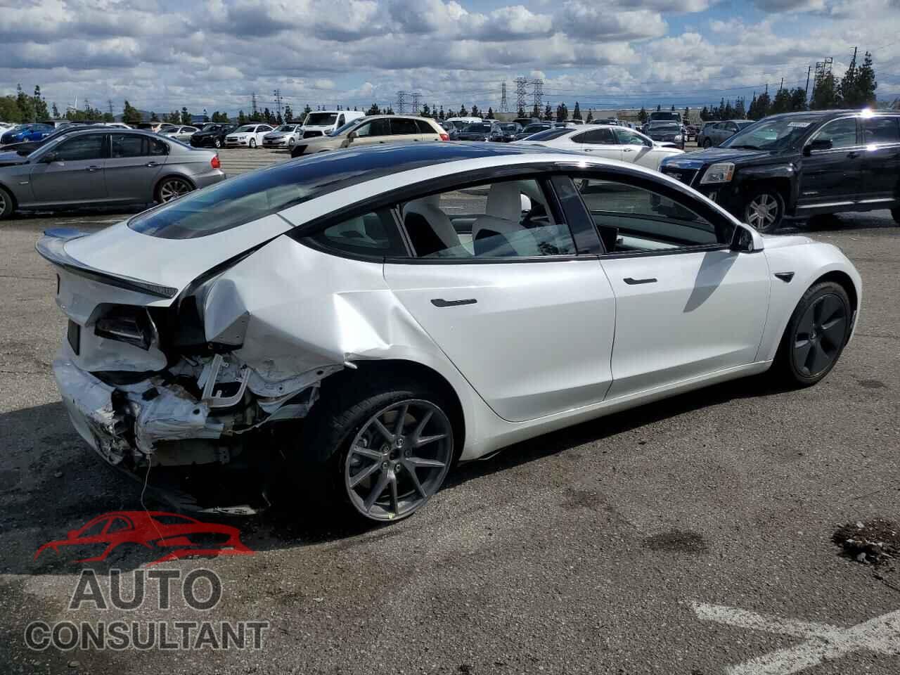 TESLA MODEL 3 2021 - 5YJ3E1EA5MF873191
