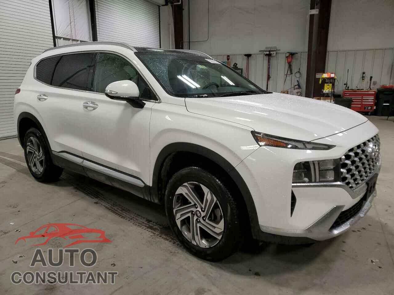 HYUNDAI SANTA FE 2023 - 5NMS3DAJ8PH515580