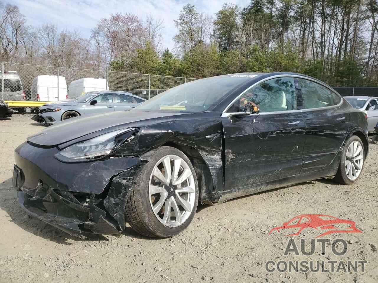 TESLA MODEL 3 2019 - 5YJ3E1EA8KF302291