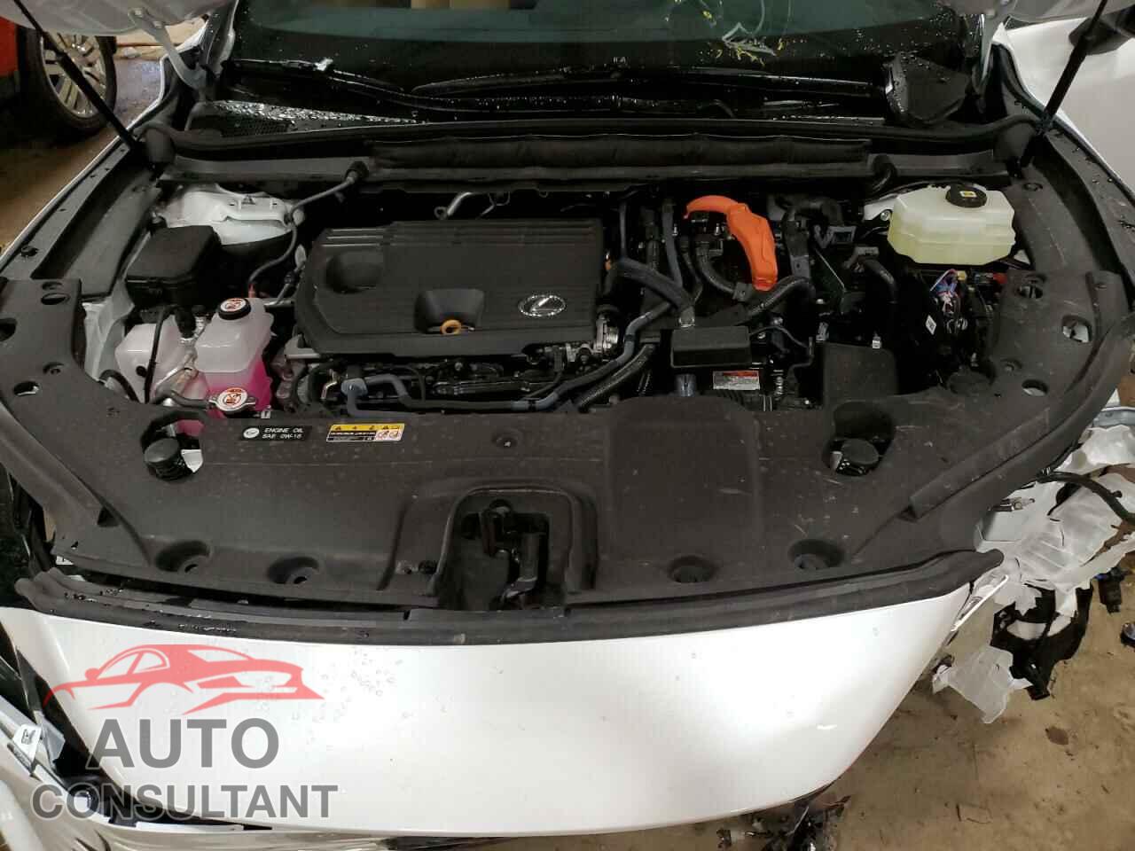 LEXUS RX 350H BA 2025 - 2T2BBMCA0SC071864