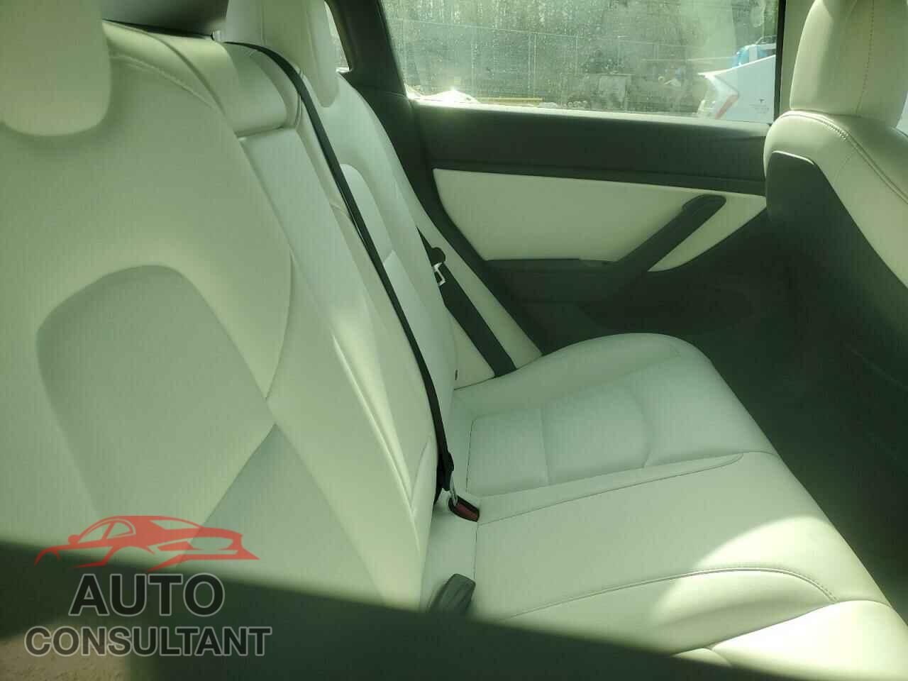 TESLA MODEL 3 2019 - 5YJ3E1EA8KF302291