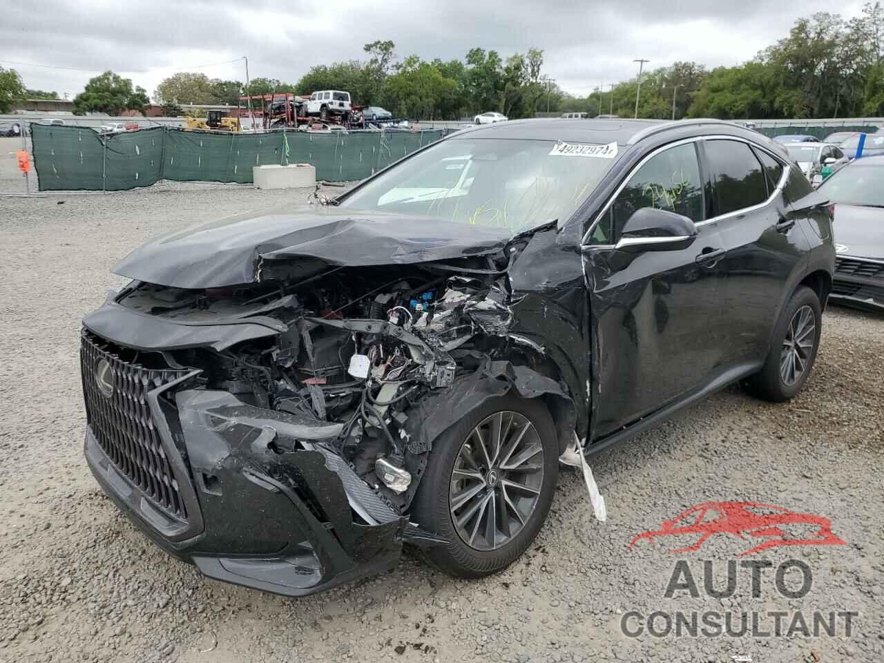 LEXUS NX 350 2022 - 2T2GGCEZ0NC002665