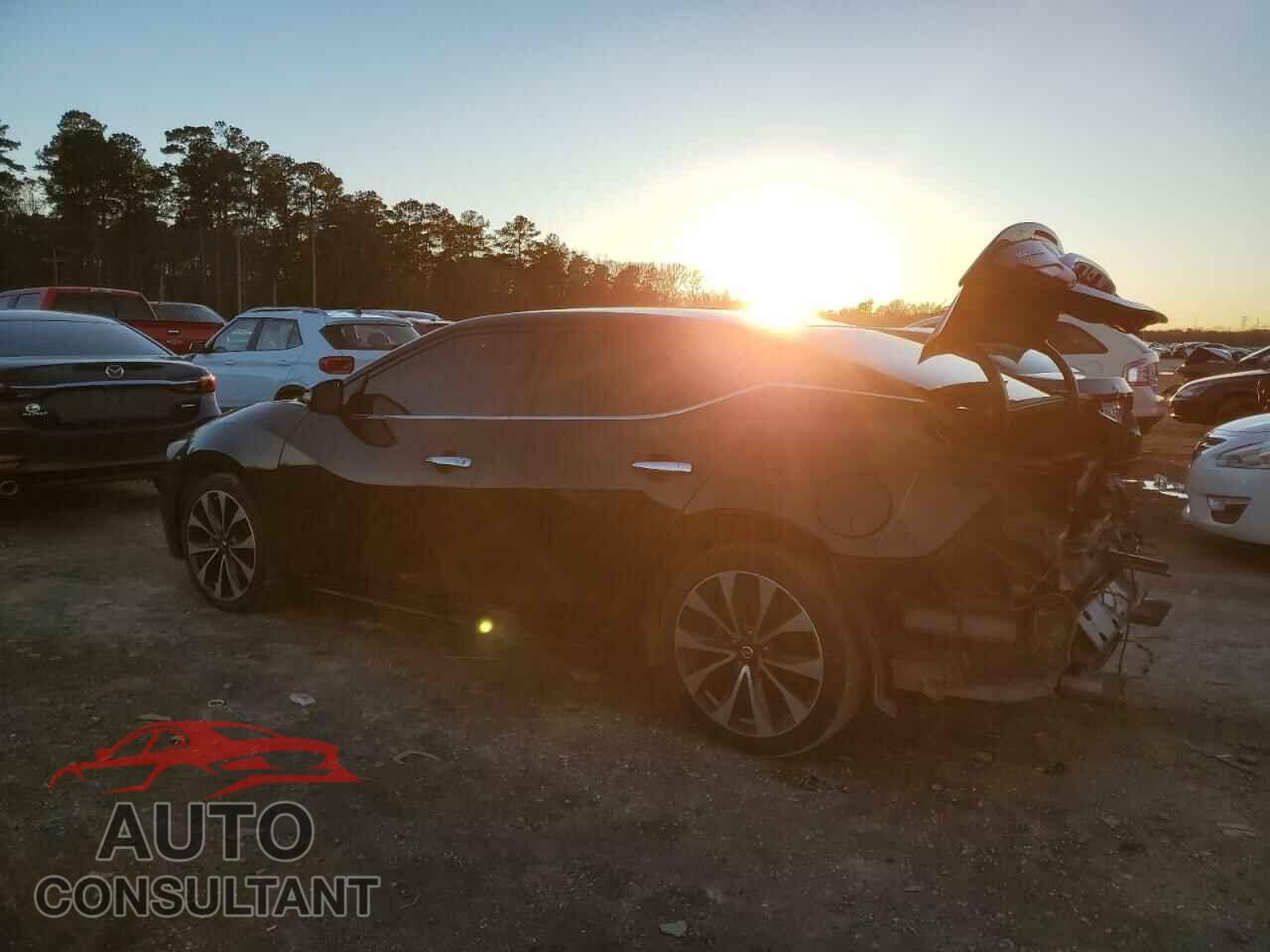 NISSAN MAXIMA 2016 - 1N4AA6AP1GC385115