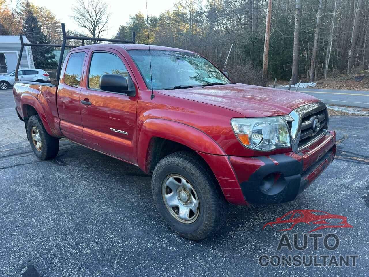 TOYOTA TACOMA 2009 - 5TEUX42N89Z670714