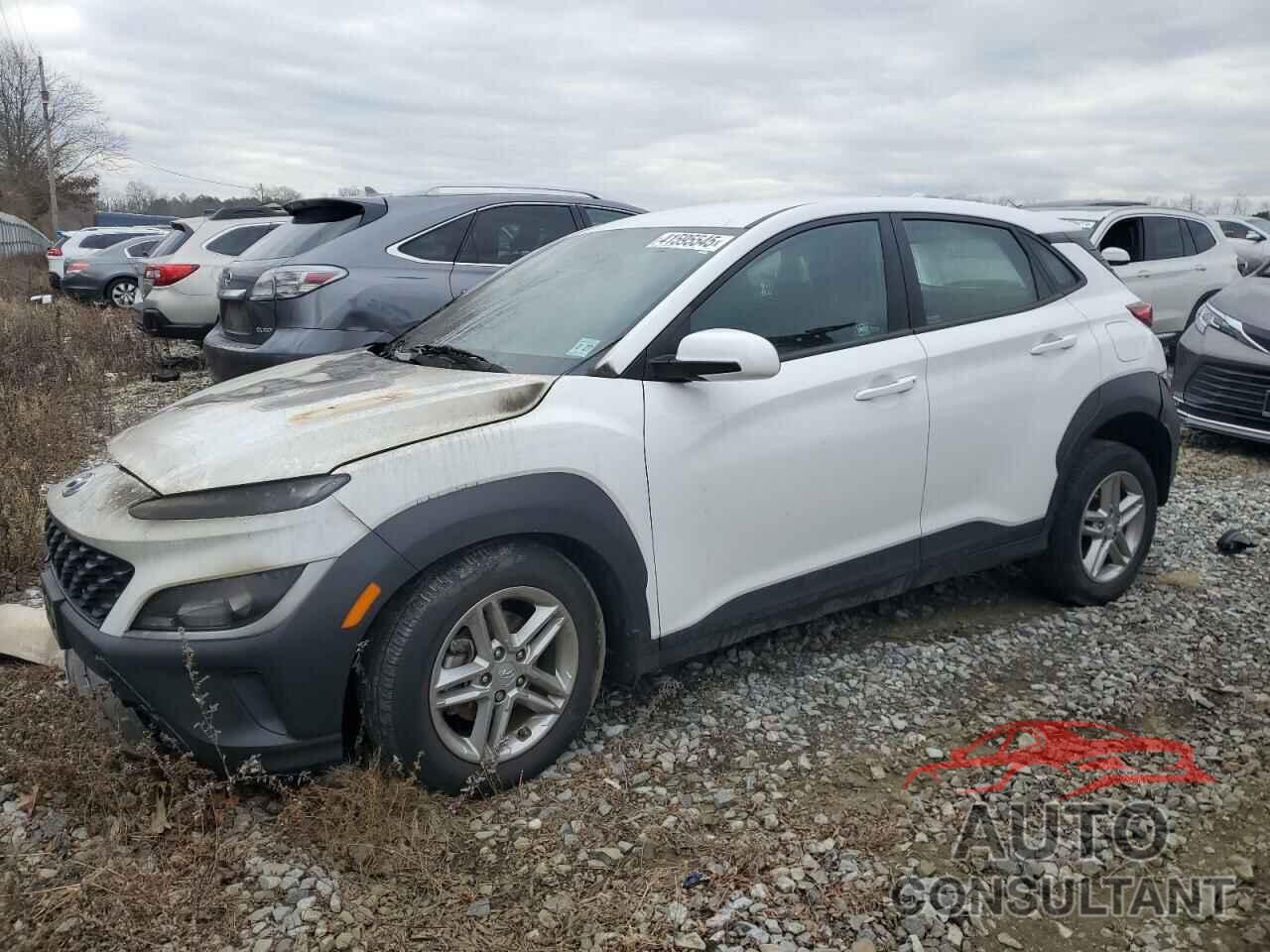 HYUNDAI KONA 2022 - KM8K22ABXNU871868