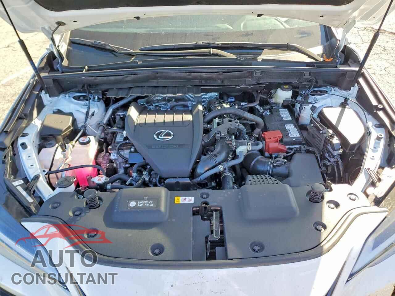 LEXUS UNKNOWN 2026 - 2T2GGCEZ9TC109355