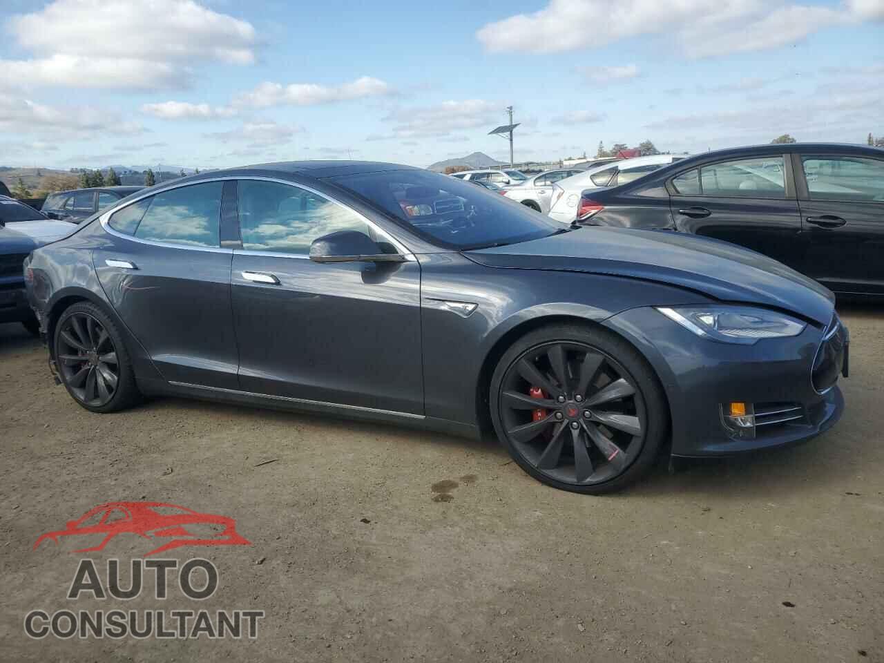 TESLA MODEL S 2015 - 5YJSA1E29FF103059
