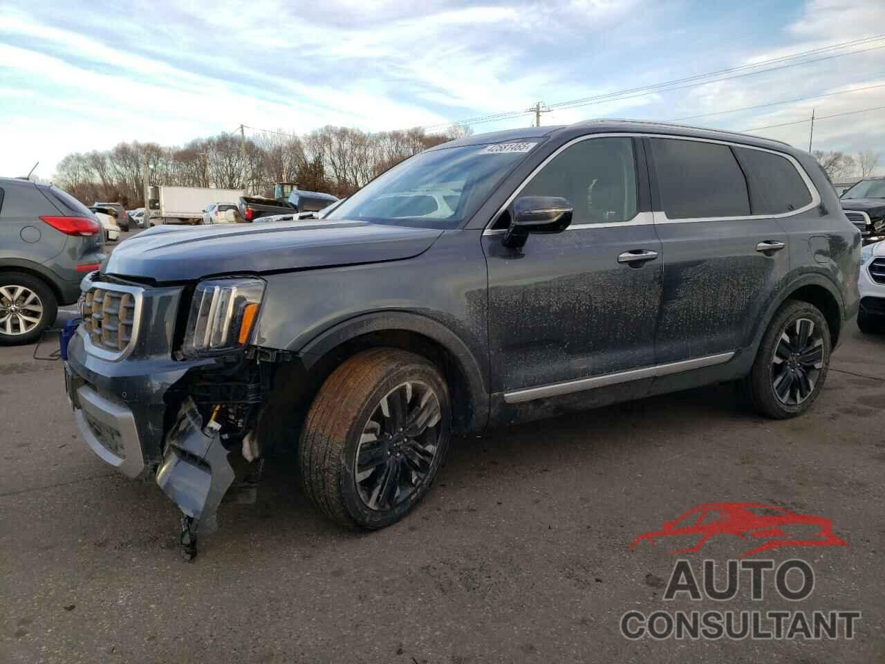 KIA TELLURIDE 2024 - 5XYP5DGC5RG411781