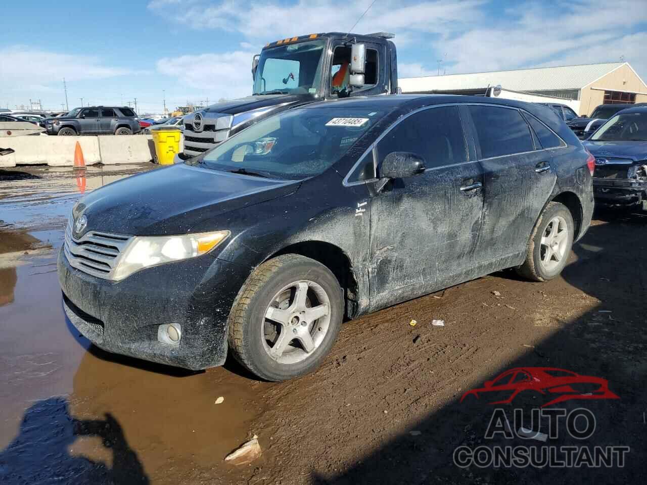 TOYOTA VENZA 2009 - 4T3BK11A69U015093