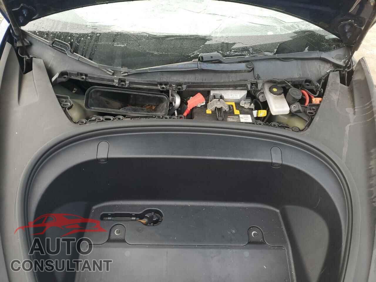 TESLA MODEL 3 2019 - 5YJ3E1EA3KF401004