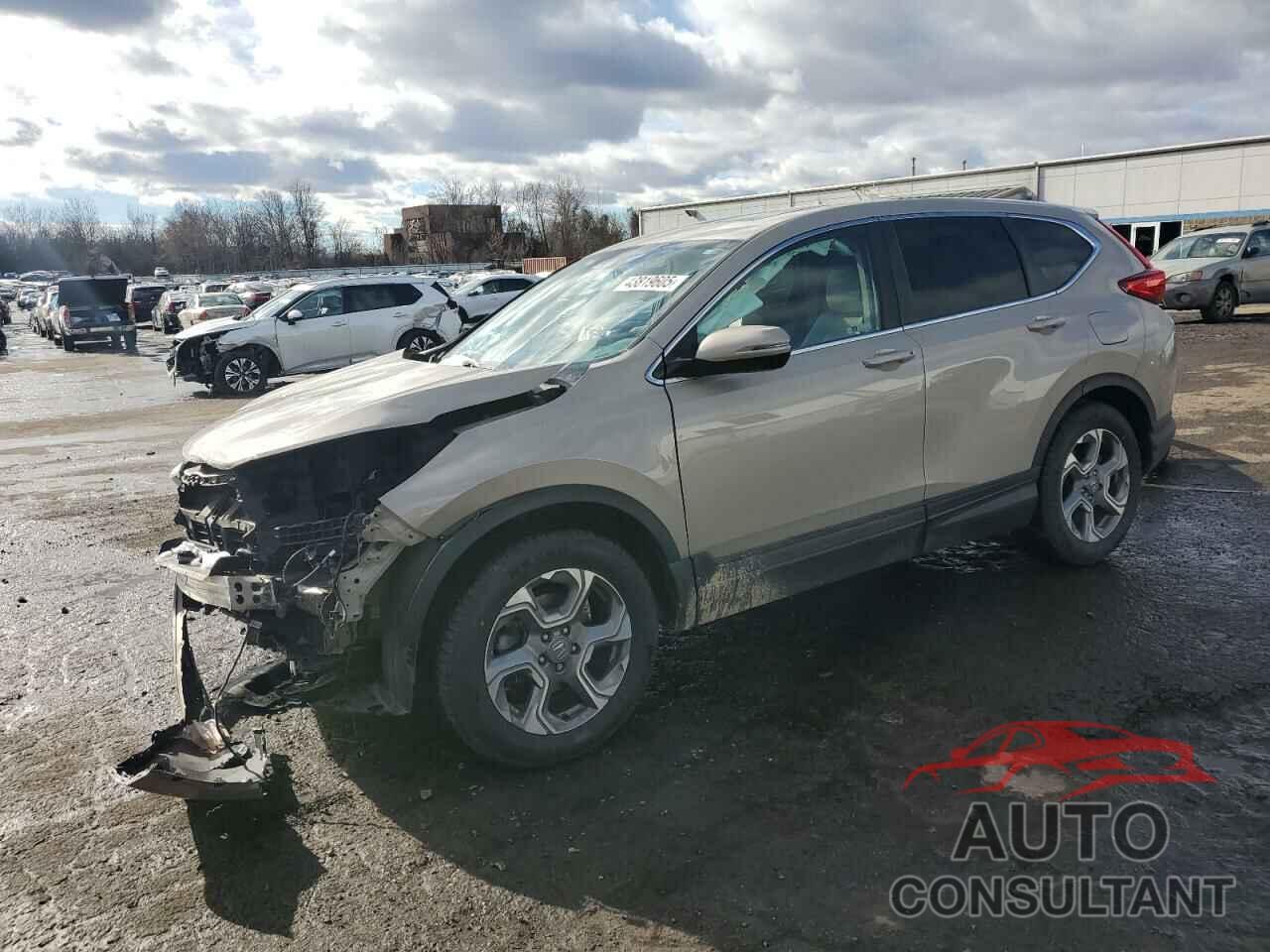 HONDA CRV 2019 - 2HKRW2H88KH621391