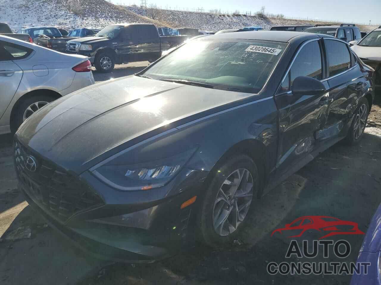 HYUNDAI SONATA 2021 - KMHL64JA8MA161699