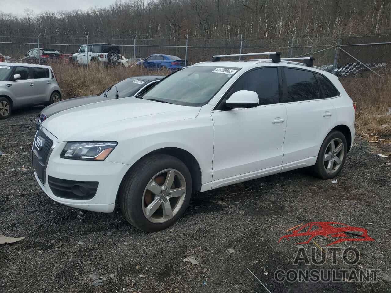 AUDI Q5 2011 - WA1LFAFP5BA056738