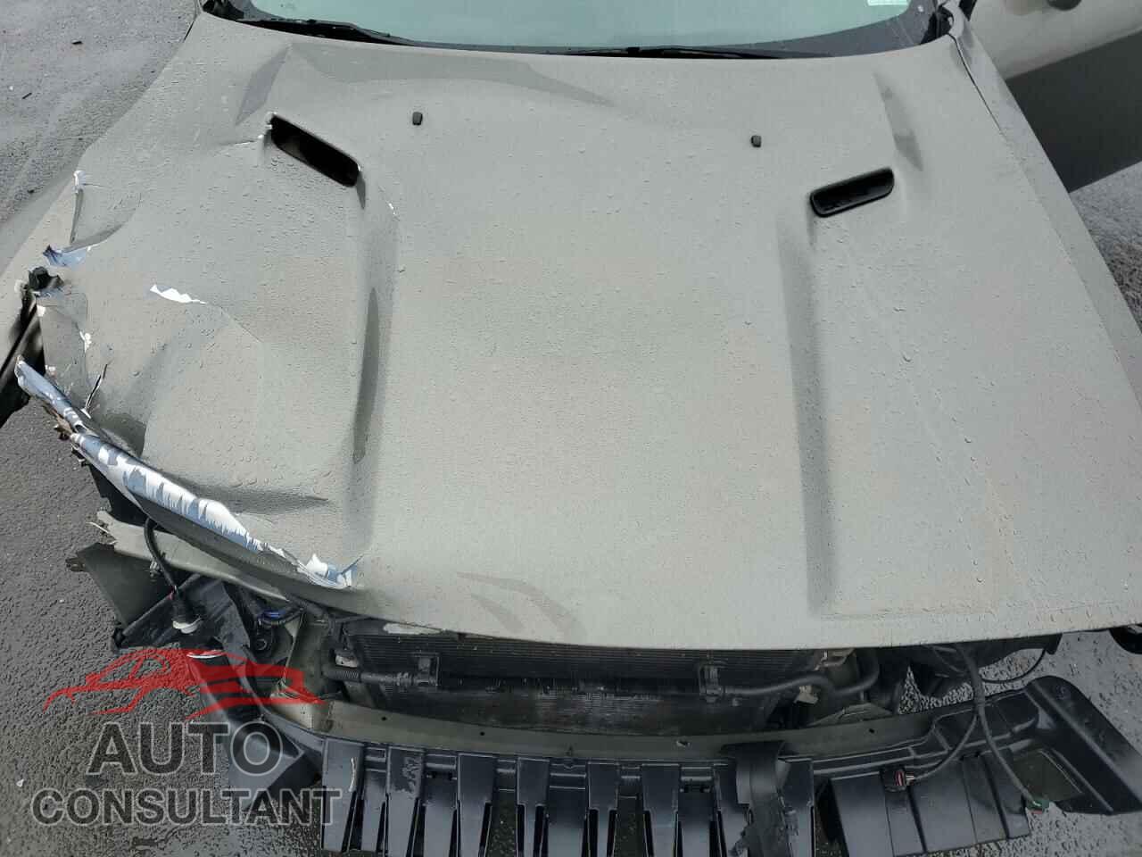 DODGE CHALLENGER 2010 - 2B3CJ4DV4AH120485