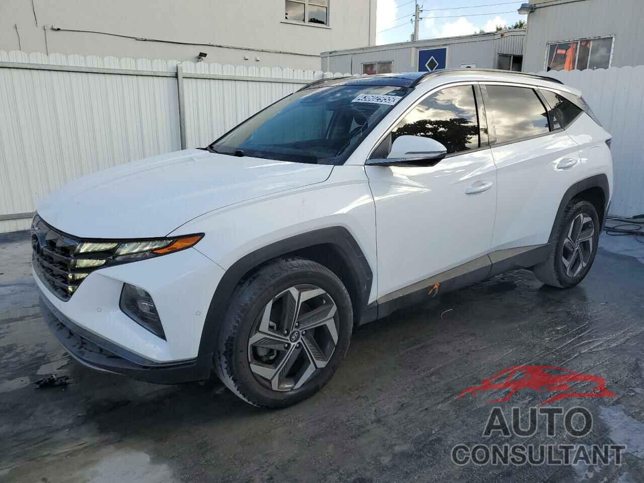 HYUNDAI TUCSON 2023 - 5NMJECAE3PH240817