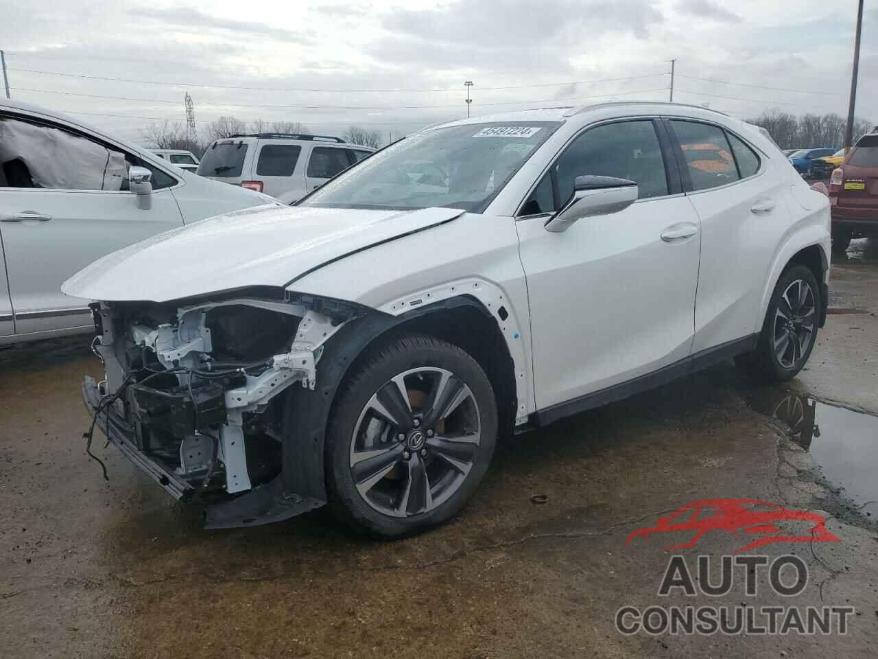 LEXUS UX 250H PR 2023 - JTHP9JBH2P2069511