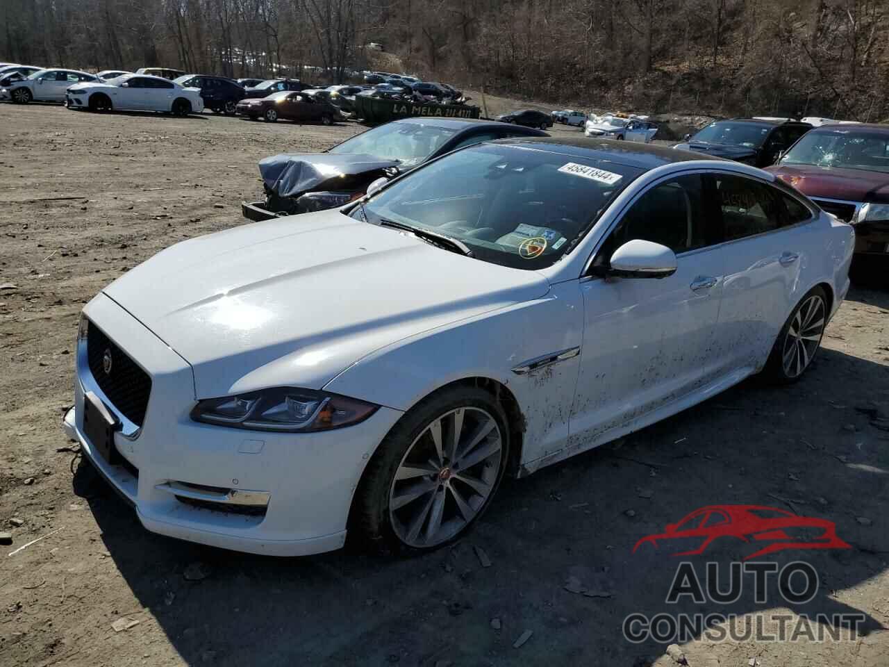 JAGUAR XJ 2018 - SAJWJ1CD0J8W13820