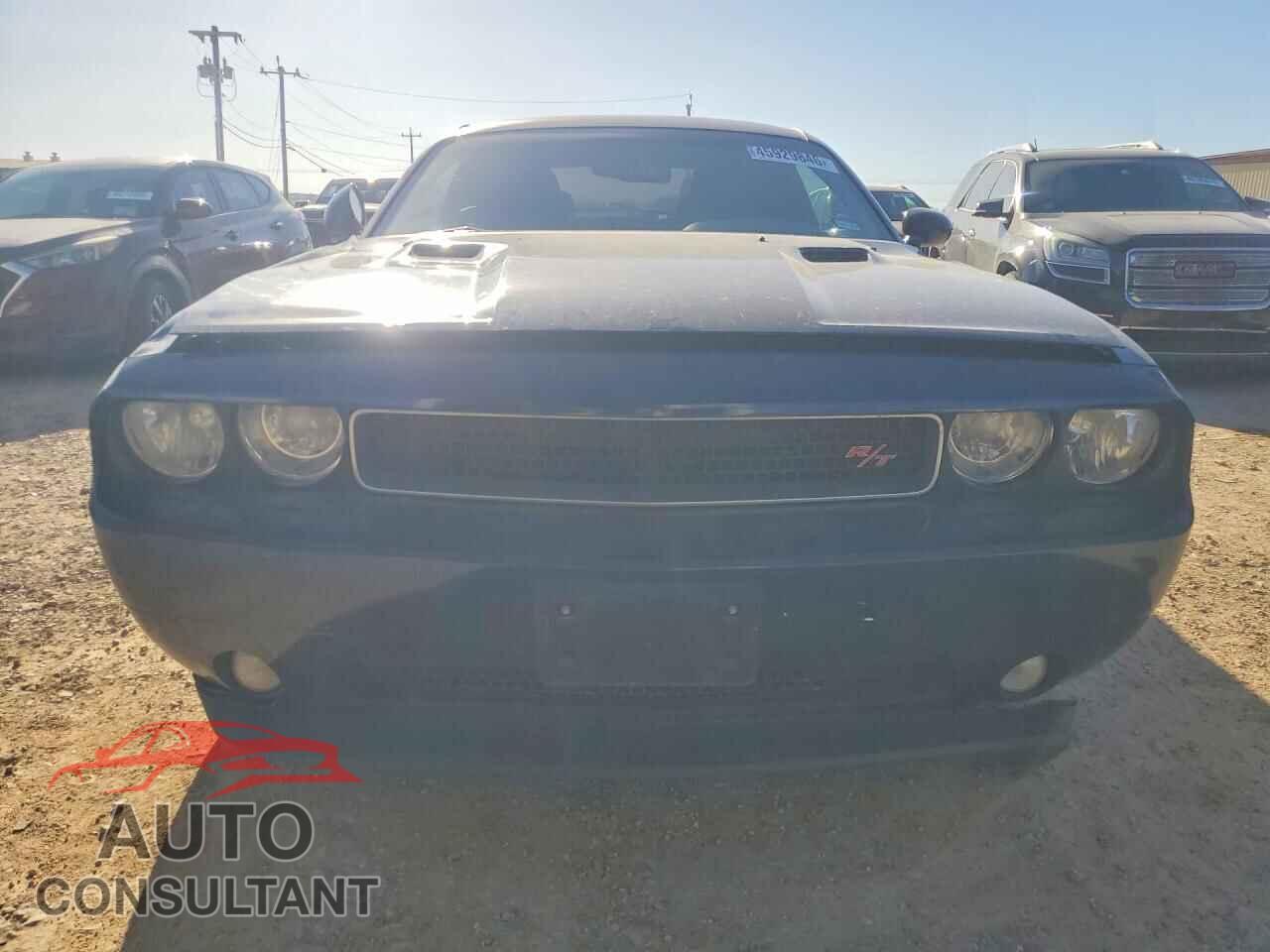 DODGE CHALLENGER 2014 - 2C3CDYBT0EH160801