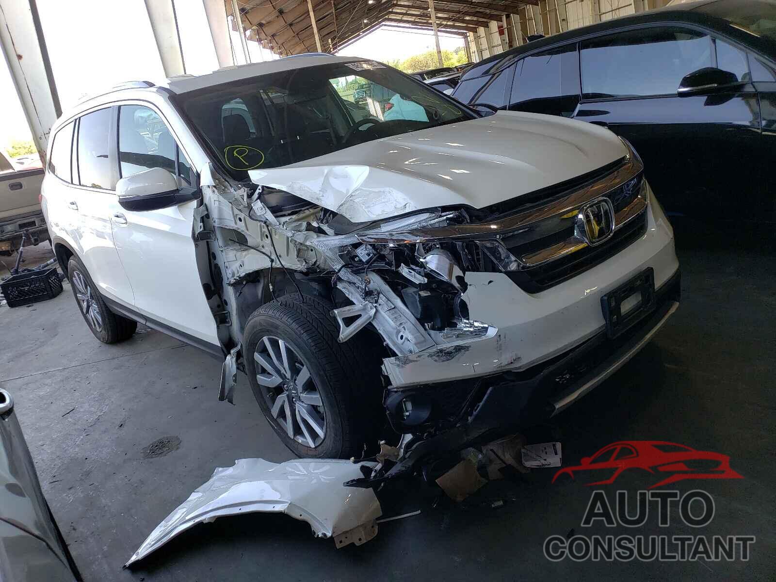 HONDA PILOT 2019 - 5FNYF5H53KB034811