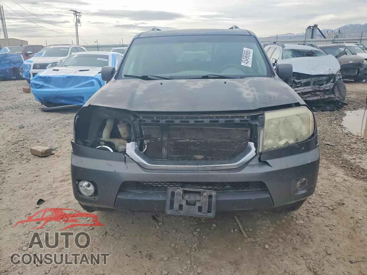 HONDA PILOT 2011 - 5FNYF4H51BB027043