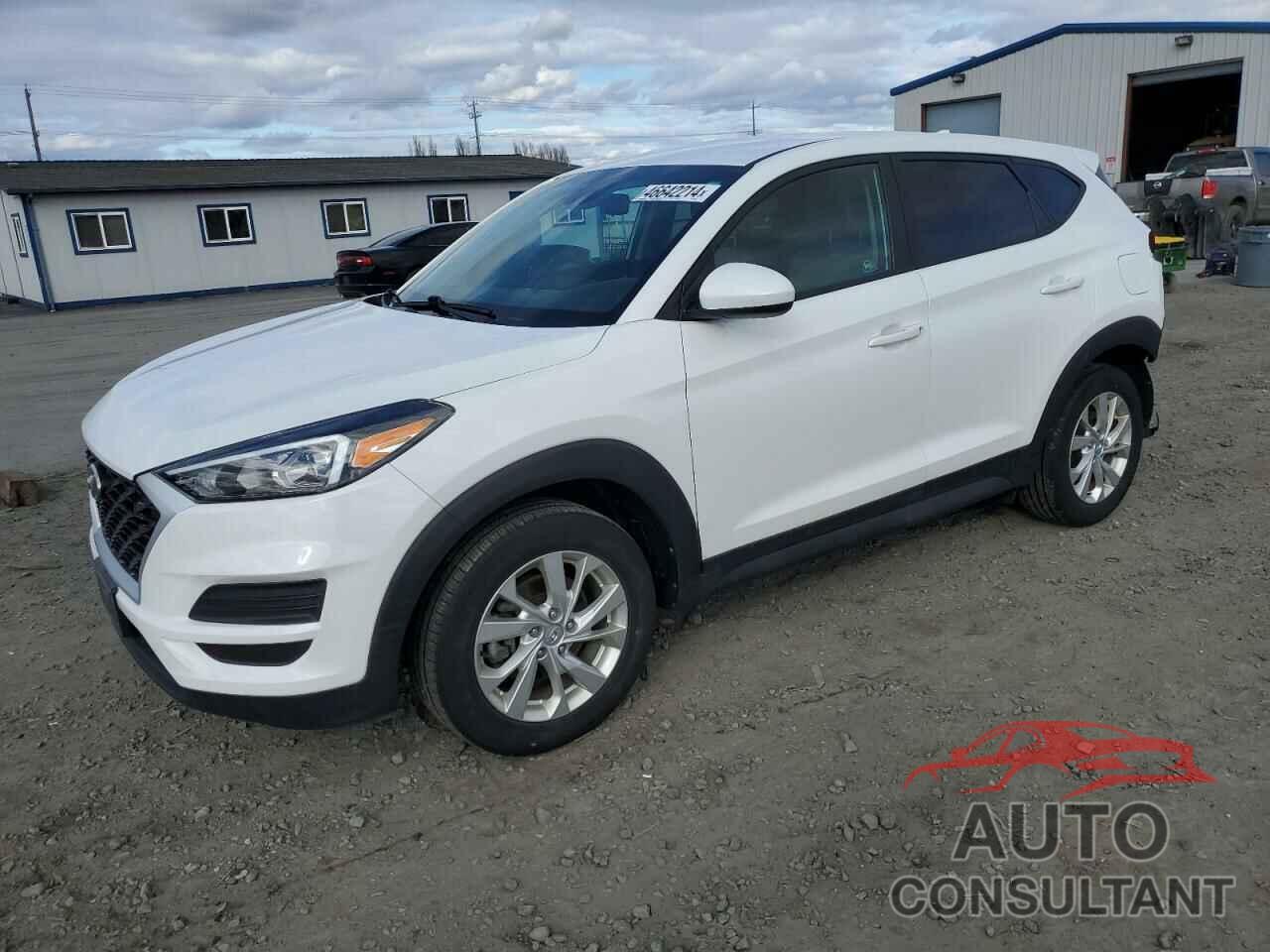 HYUNDAI TUCSON 2019 - KM8J2CA48KU072766