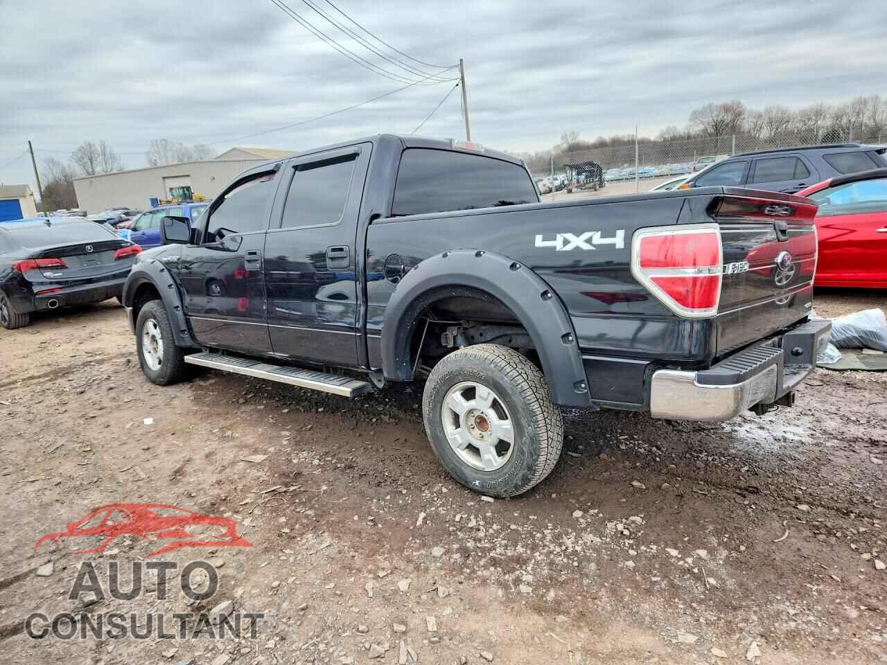FORD F150 2013 - 1FTFW1EF1DFD29319