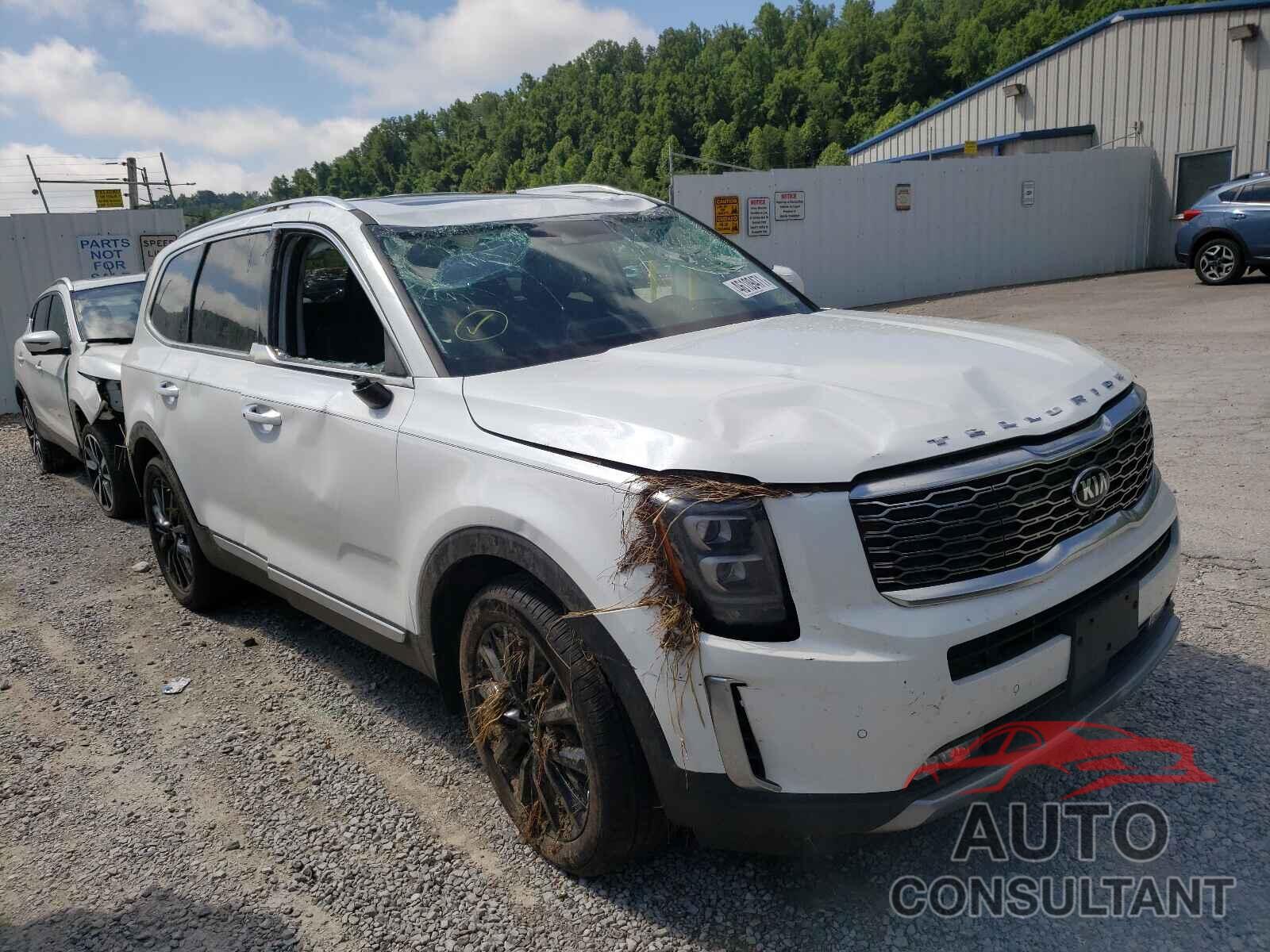 KIA TELLURIDE 2021 - 5XYP5DHC6MG101484