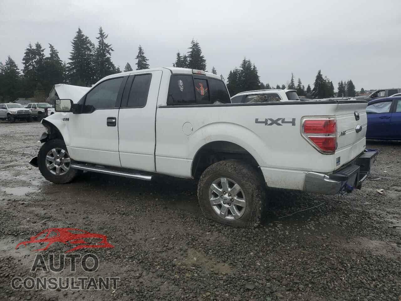 FORD F-150 2013 - 1FTFX1EF9DFA66624