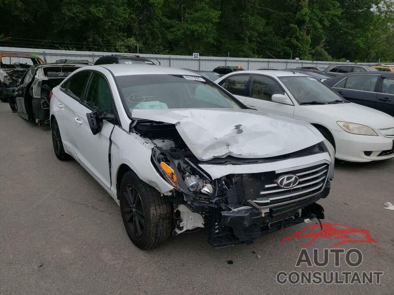 HYUNDAI SONATA 2016 - 5NPE24AF5GH262748
