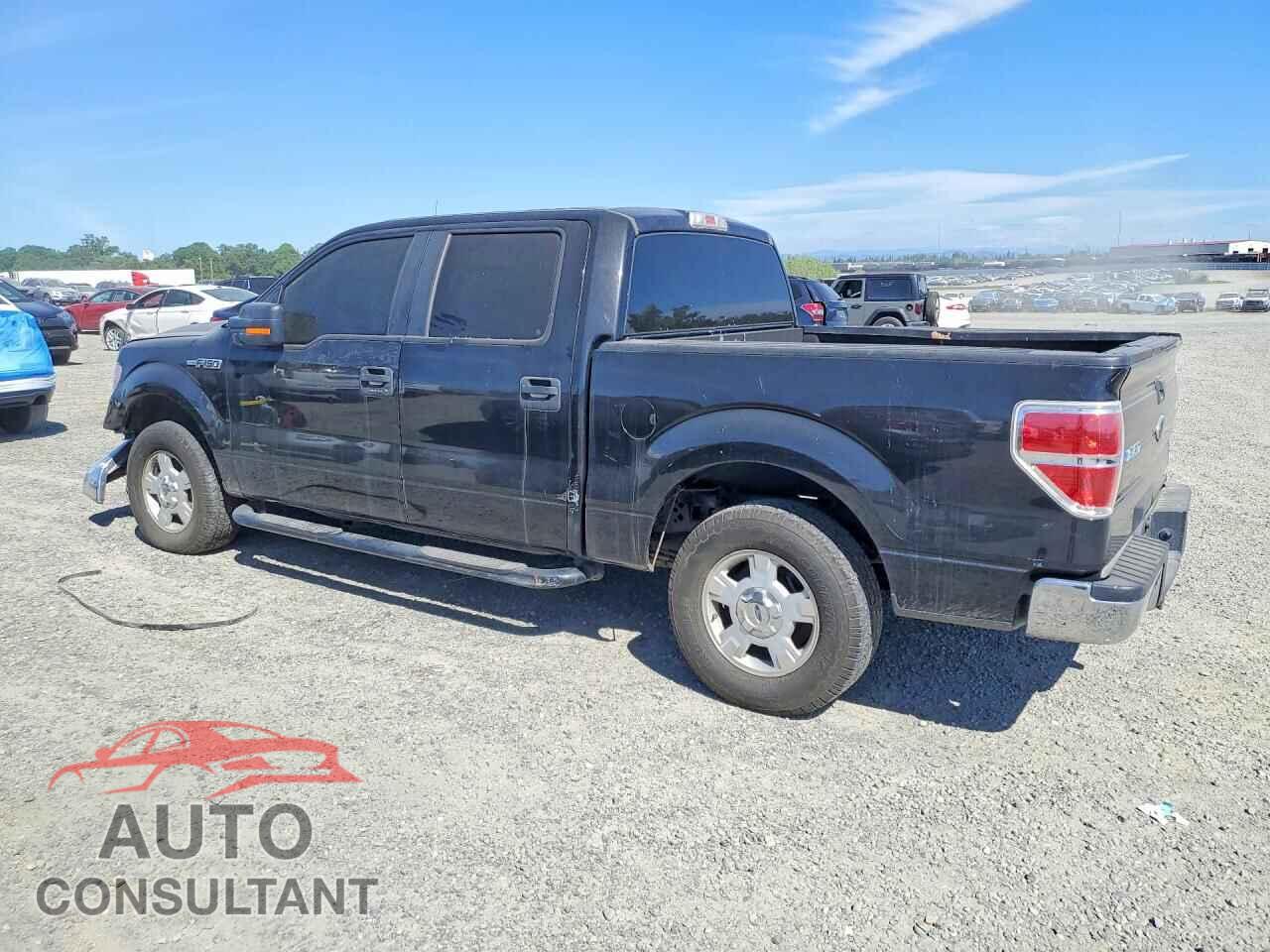 FORD F150 2013 - 1FTEW1CM2DFC51002