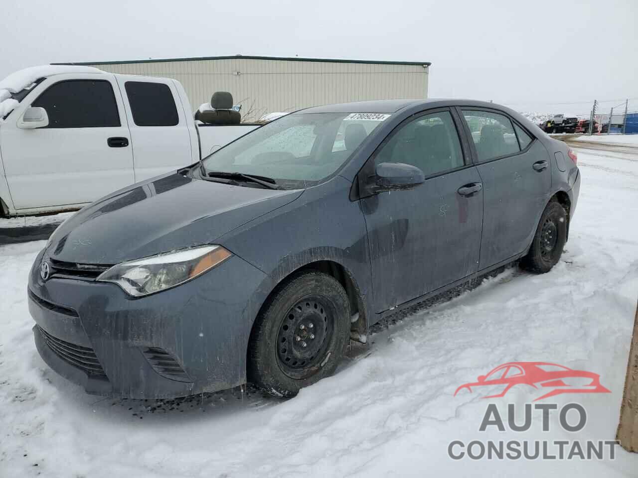 TOYOTA COROLLA 2016 - 2T1BURHE7GC655306