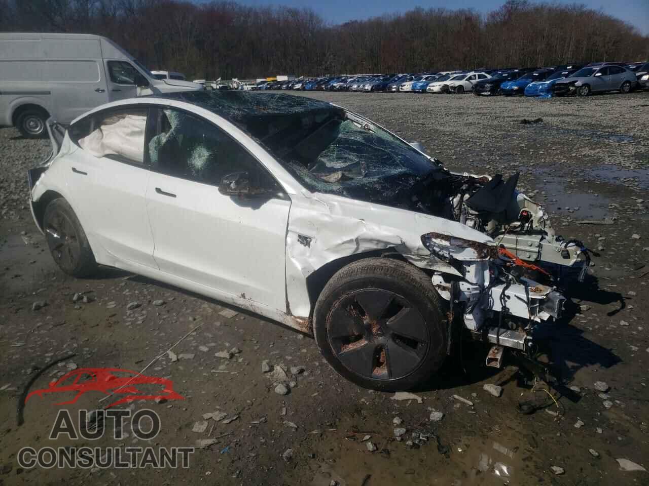 TESLA MODEL 3 2023 - 5YJ3E1EA3PF626935