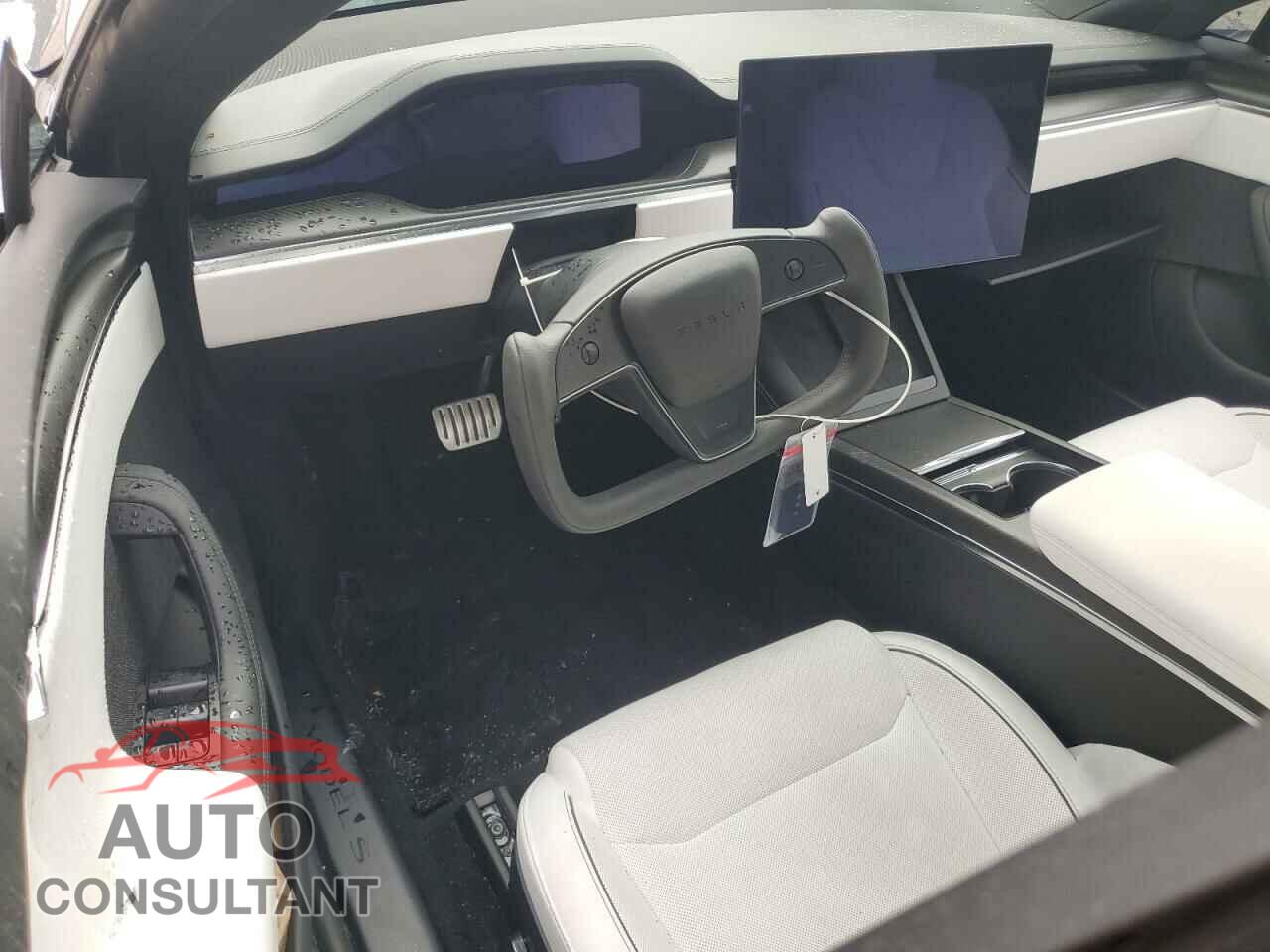 TESLA MODEL S 2024 - 5YJSA1E67RF533518