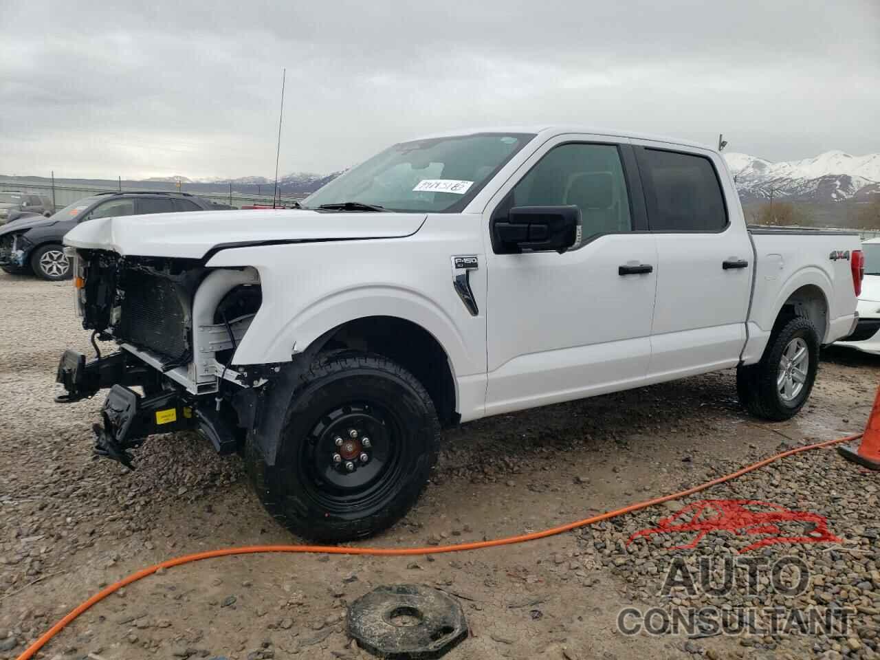 FORD F-150 2021 - 1FTEW1EB0MKD87955