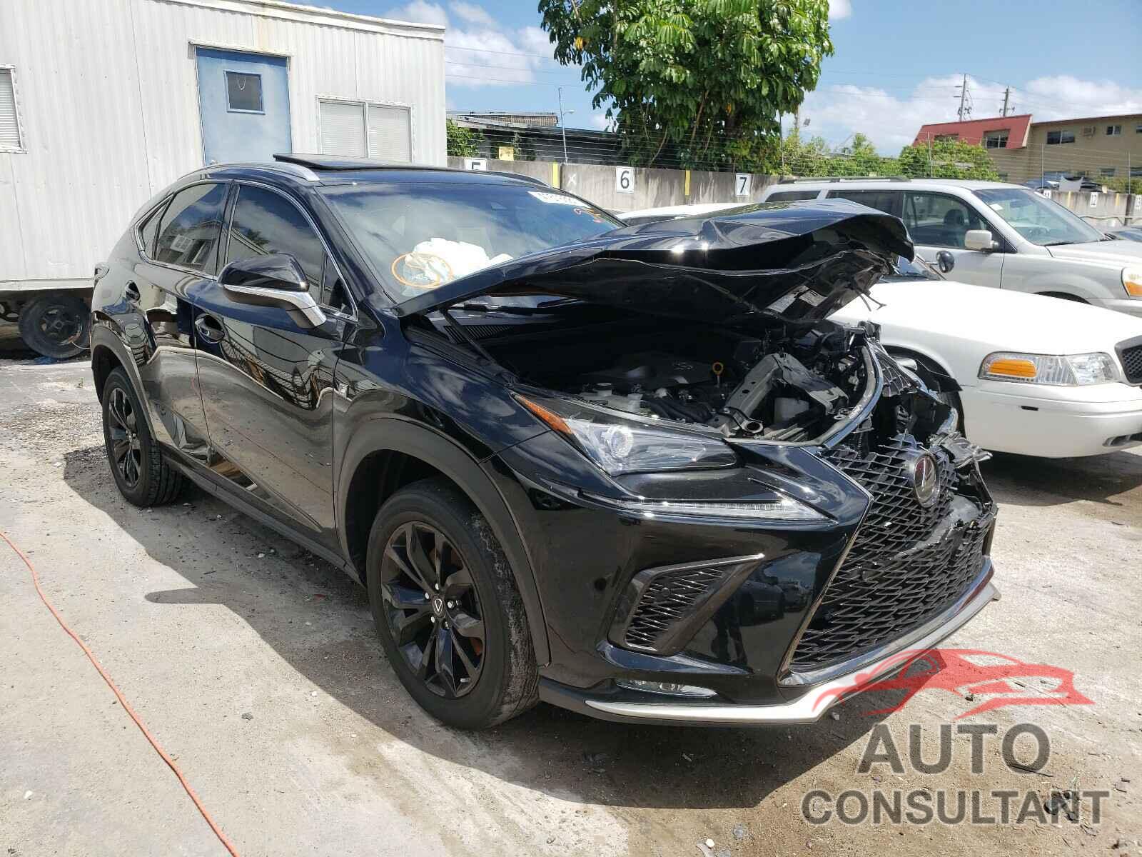 LEXUS NX 2019 - JTJYARBZ9K2138575